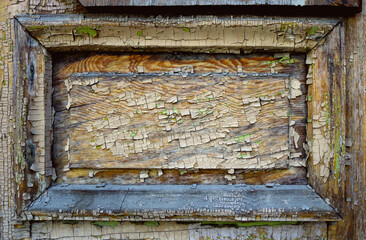 Naklejka premium weathered wooden rectangular surface with frame, peeling and chipped paint, craks, dust and lichen - blank background texture