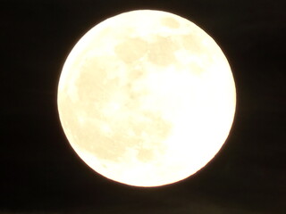 Moon