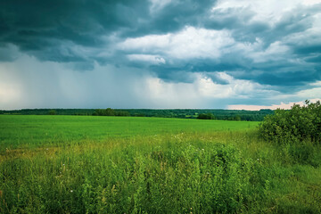 Obraz premium green landscape, field