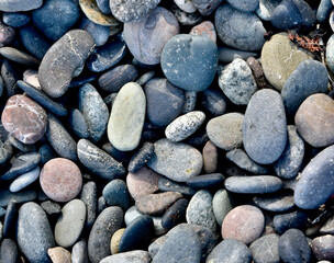 Beach combing finds, close-up photography in nature with simple isolated subjects in natural rocky beach setting.