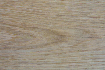 texture of oak wood, background, oak desktop texture background	