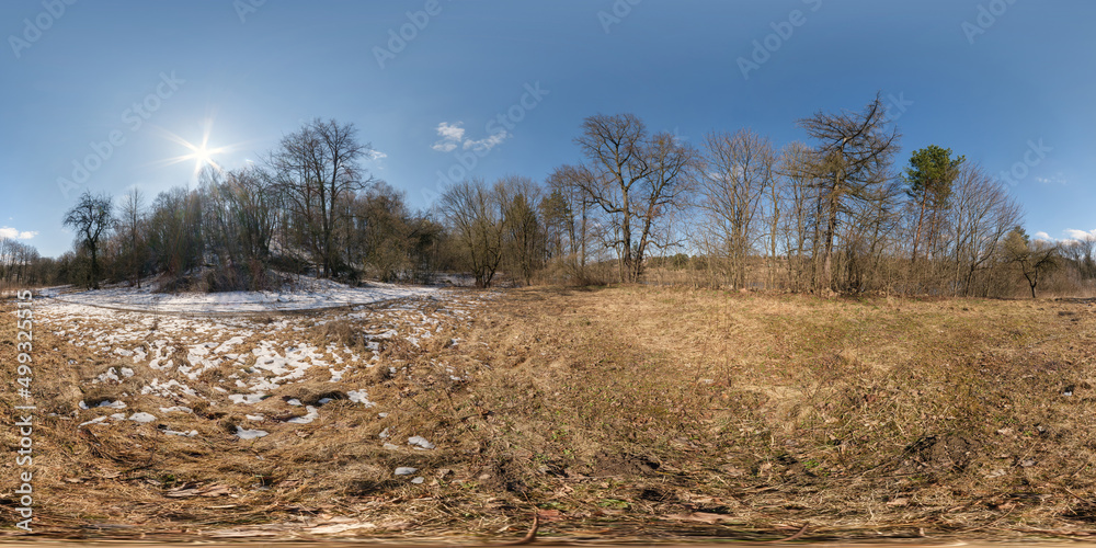 Wall mural full spherical 360 hdri panorama view on edge of winter forest in equirectangular projection. vr ar 