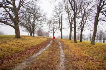 Boy in a red jacket walking on a path on a cloudy day