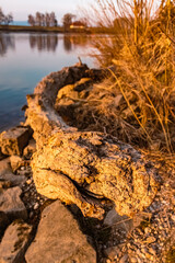 Beautiful sunset with reflections near Osterhofen, Danube, Bavaria, Germany