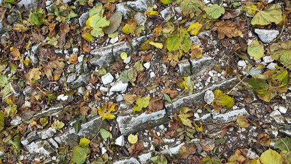 Natural background of leaves on stones
