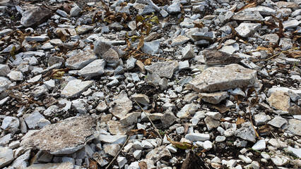 Stone soil stone path nature natural background