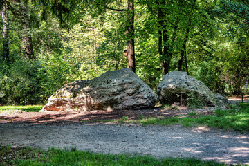 Some great grey rocks in the summer forest.