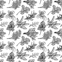 Seasonings and herbs pattern. Aromatic spices, healthy herbs. Basil, oregano, parsley, dill.Hand-drawn illustration.