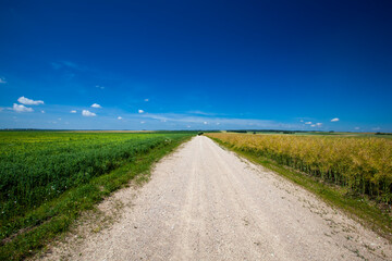 wheel ruts like a highway with a blue sky