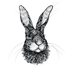 rabbit face, vintage graphic illustration, 
design for posters and postcard