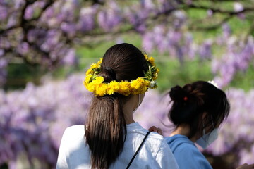 Due ragazze giovani di spalle con corona di fiori gialla tra i glicini