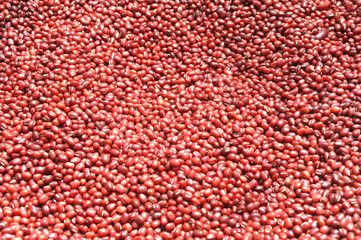 high angle view of adzuki red bean background