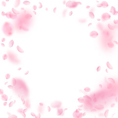 Fototapeta premium Sakura petals falling down. Romantic pink flowers vignette. Flying petals on white square background. Love, romance concept. Fresh wedding invitation.