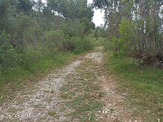 countryside
