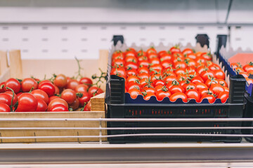 Boxes of red fresh sweet tomatoes in grocery department in shopping center, supermarket, food store. Vegan food, no animal local products