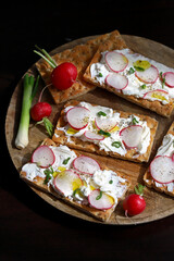 Selective focus. Macro. Healthy toasts with white cheese, radishes and green onions.