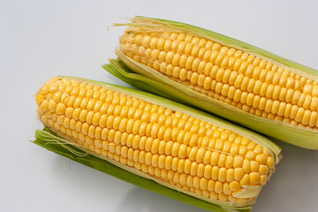 Yellow corn in husk, studio shot