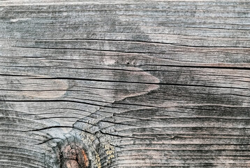 Wooden background of the old board. The texture of a tree with knots and scuffs burnt out in the sun.