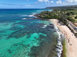 Natural Turtle Bay, Oahu, Hawaii with Hawain green turtles swimming in the water