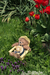 Teddy bear relaxing on chair in garden