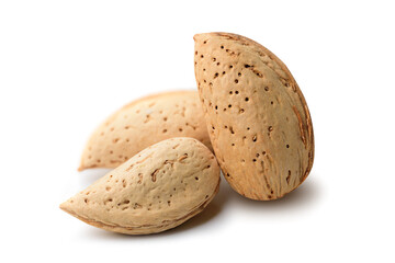 almond isolated white,nut piece,almond piece slice fly.,with clipping path