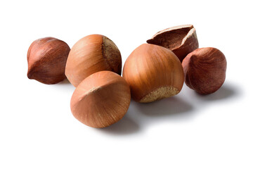 hazelnut nut,hazel white isolated,hazelnut nut pieces,with clipping path