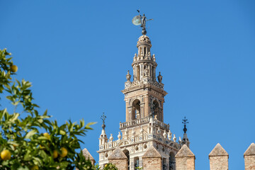 Fototapeta na wymiar Detailed view of the historic cathedral in Seville.Spain, Andalucia