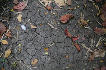 dry and cracked ground