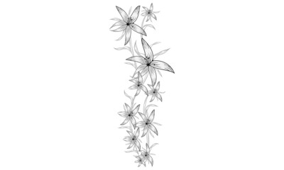 Sketch floral coloring Page black and white with line art on white backgrounds.