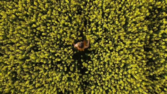 Aerial view with runing woman at blooming rapeseed field. Yellow flowers and woman