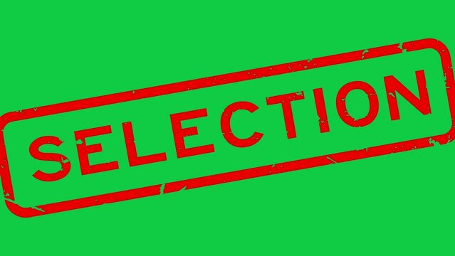 Grunge red selection word square rubber seal stamp zoom on green background