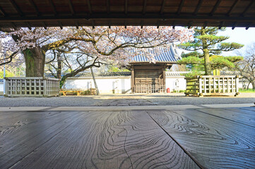 Garden of Kodokan, Mito Clan's school in Mito City, Japan