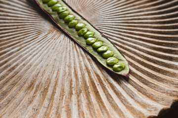 Open Guaje seed pod on a plate with edible seed in Oaxaca, Mexico.