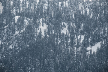 Clouds and fog shroud snow covered mountains and the mountain forests