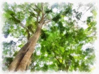 big tree scenery watercolor style illustration impressionist painting.