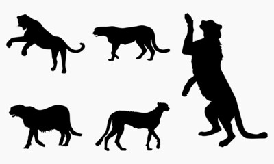 Collection of cheetah silhouette set Isolate on white background vector illustration 
