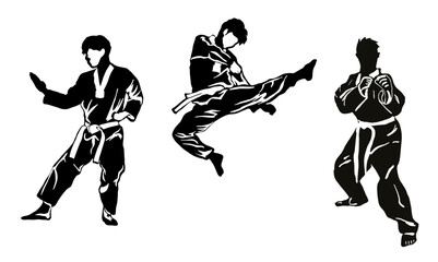 karate taekwondo illustration vector © irvan
