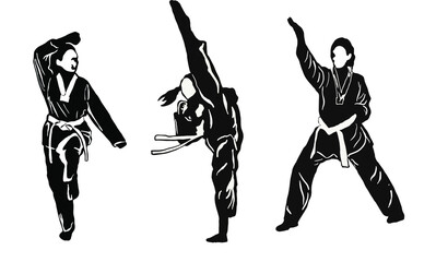 karate taekwondo illustration vector