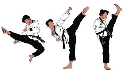 Fototapeta na wymiar karate taekwondo illustration vector