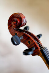 バイオリン　部分　糸巻き