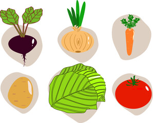 Vegetables in assortment for cooking borscht, vector. Drawn vegetables for vegan menu.