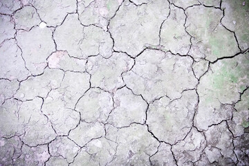 Cracked soil texture with stain green moss in the river , drought season seamless patterns top view background