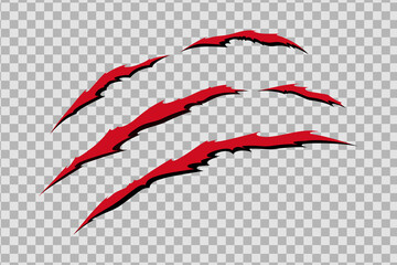 Claw scratches of wild animal. Cat scratches marks with blood isolated in transparent background. Monochrome vector illustration