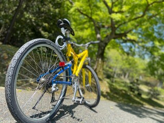 Fototapeta premium サイクリング