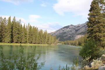 Summer Flow Of The Bow, Banff National Park, Alberta