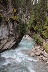 river in the forest, Banff National Park, Alberta