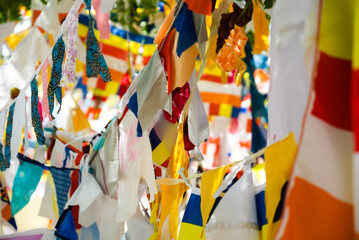 Colourful buddhist prayer flags in the wind