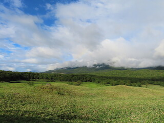知床五湖近くの自然