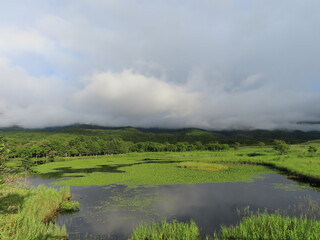 知床五湖の一湖