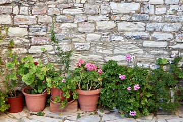 Pots with flowers stand near the old stone wall as a background or backdrop